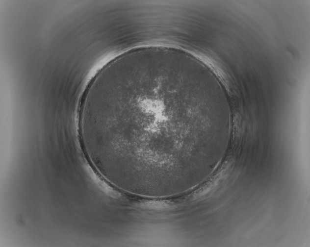 X0000115600998200911101402
