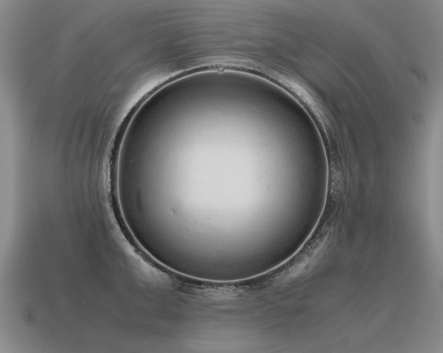 X0000115600999200911101402