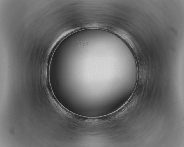 X0000115601000200911101402
