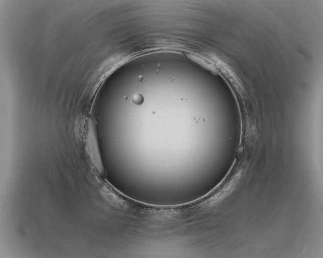 X0000115601001200911101402