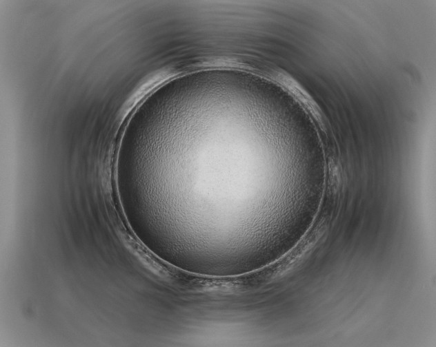 X0000115601002200911101402