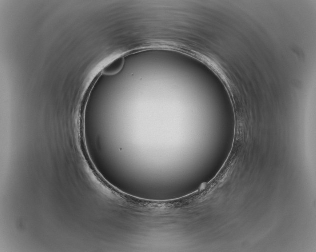 X0000115601003200911101402