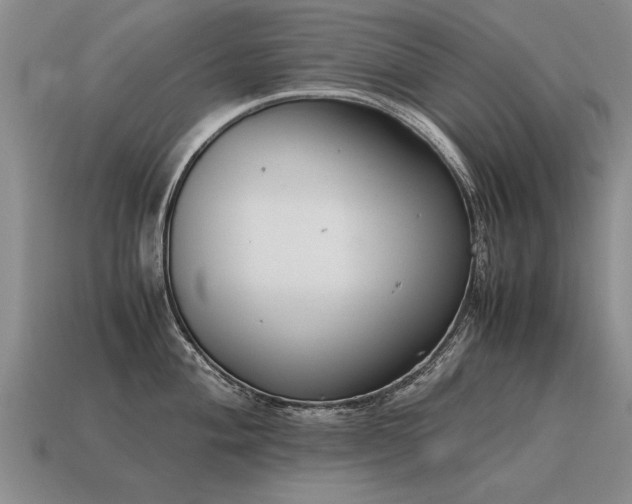 X0000115601004200911101402