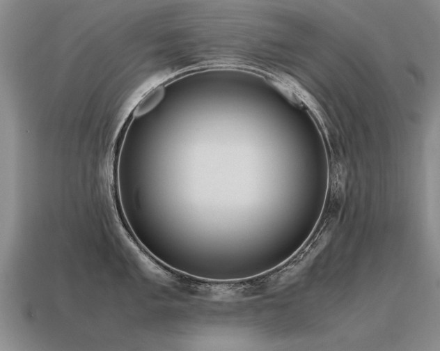 X0000115601005200911101402