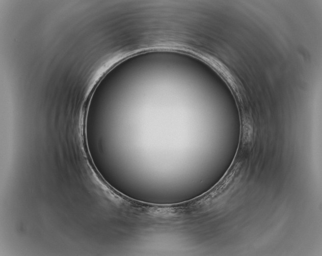X0000115601006200911101402
