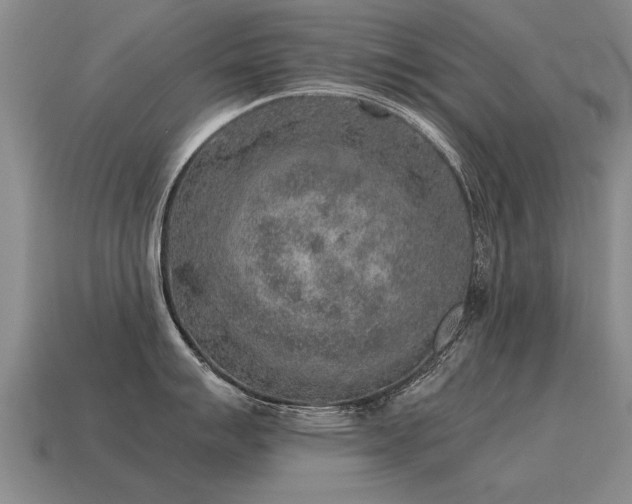 X0000115601007200911101402