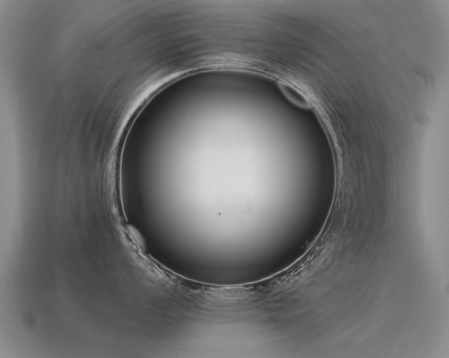 X0000115601008200911101402