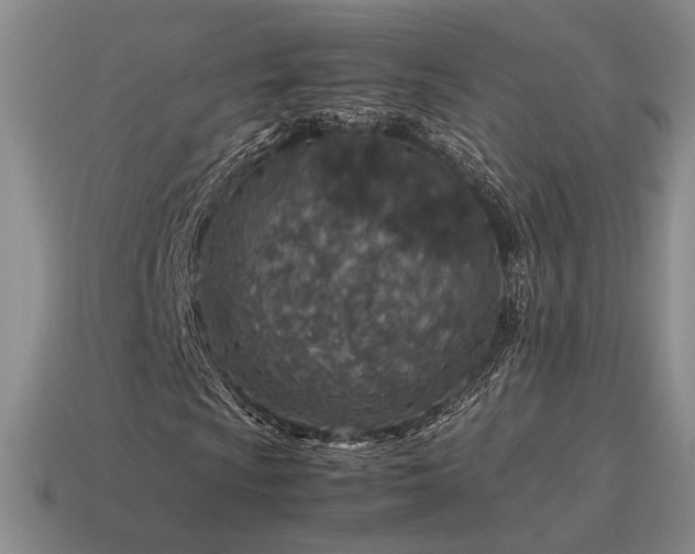 X0000115601009200911101401