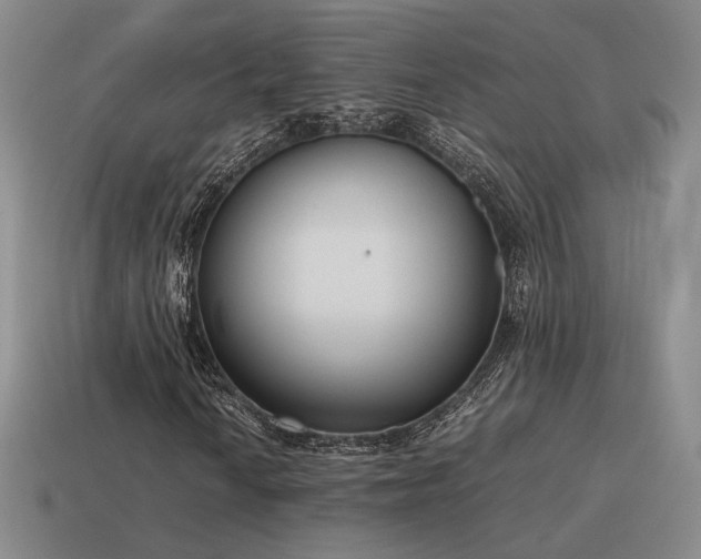 X0000115601010200911101401