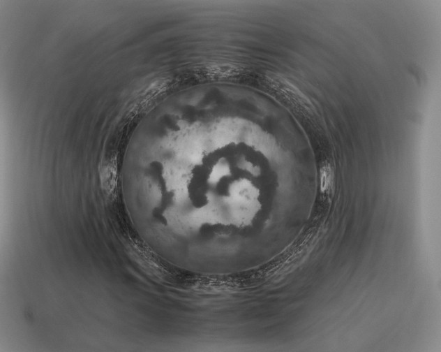 X0000115601011200911101401