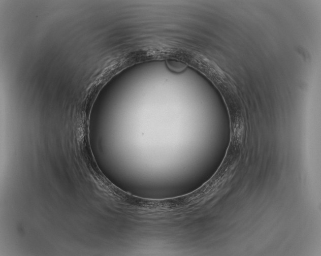 X0000115601012200911101401