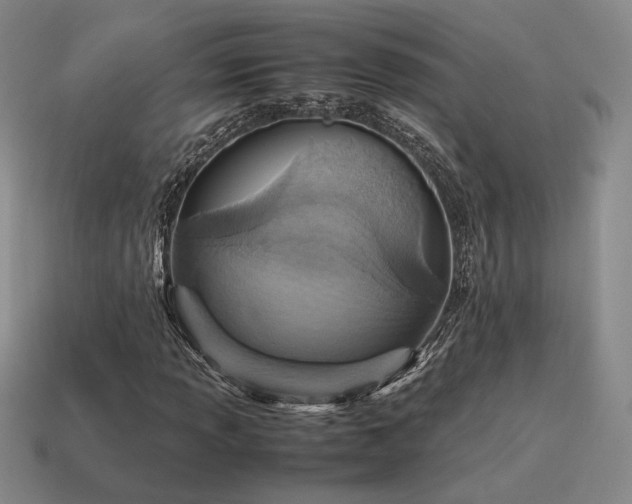 X0000115601013200911101401