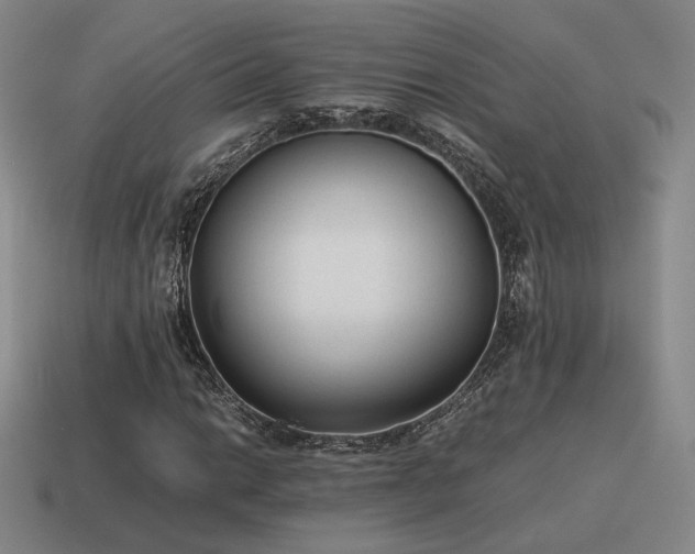 X0000115601014200911101401