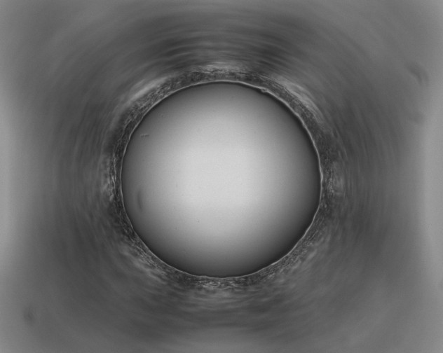 X0000115601015200911101401