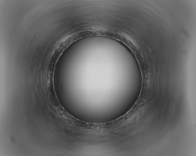 X0000115601016200911101401