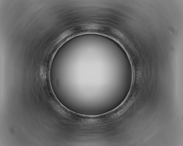 X0000115601017200911101401