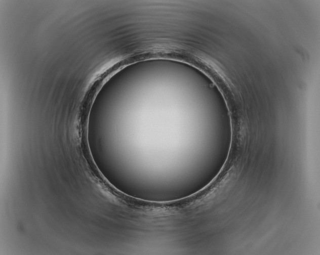 X0000115601018200911101401