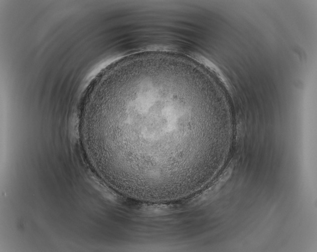 X0000115601019200911101401
