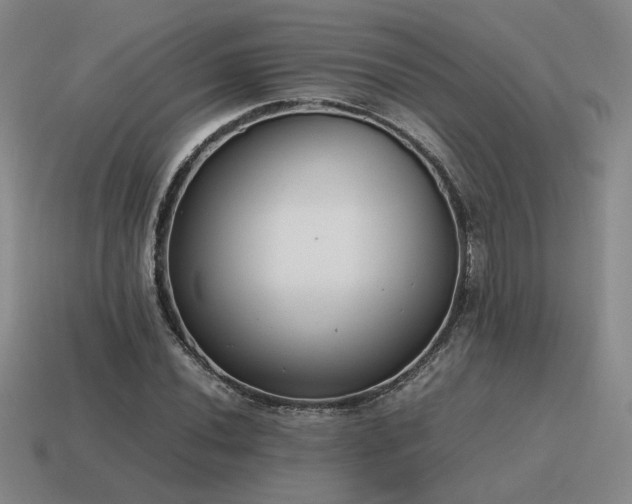 X0000115601020200911101401