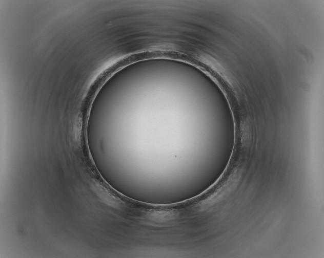 X0000115601021200911101401