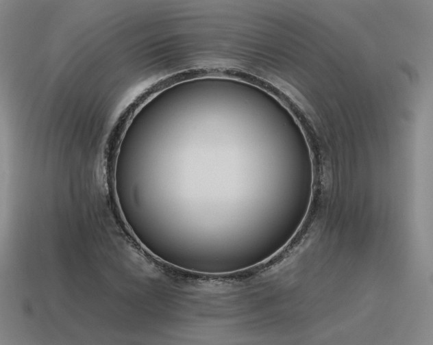 X0000115601022200911101401