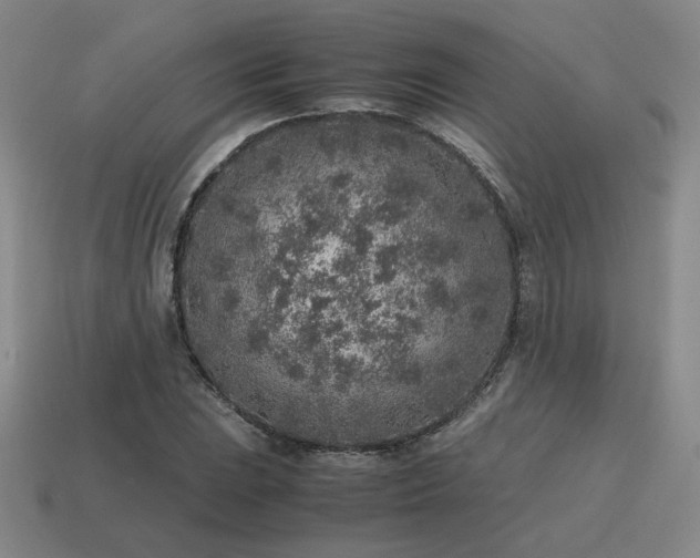 X0000115601023200911101401