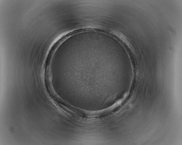 X0000115601024200911101401