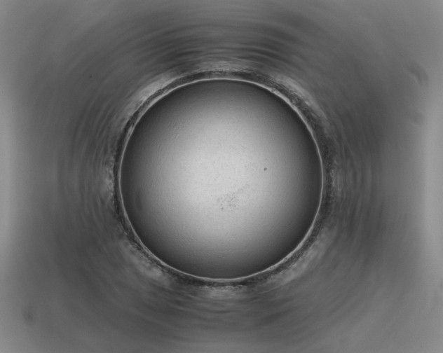 X0000115601025200911101401