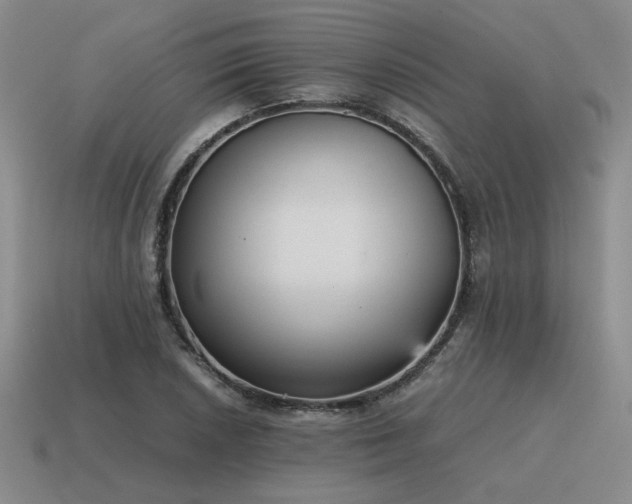 X0000115601026200911101401