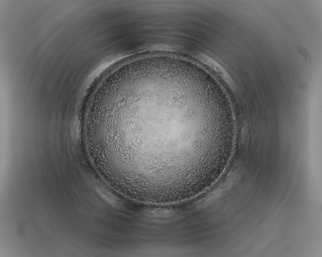 X0000115601027200911101401