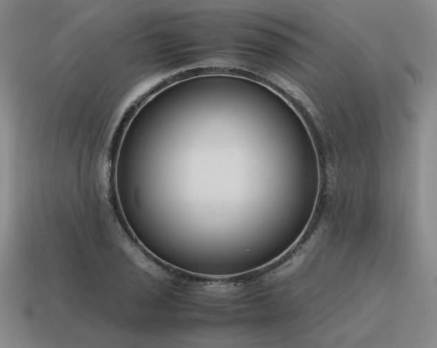 X0000115601029200911101401