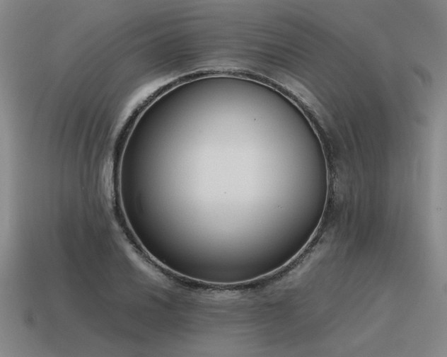 X0000115601030200911101401