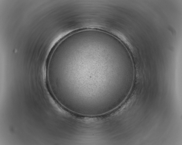 X0000115601032200911101401