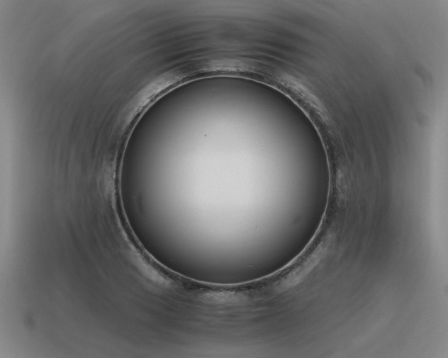 X0000115601033200911101401