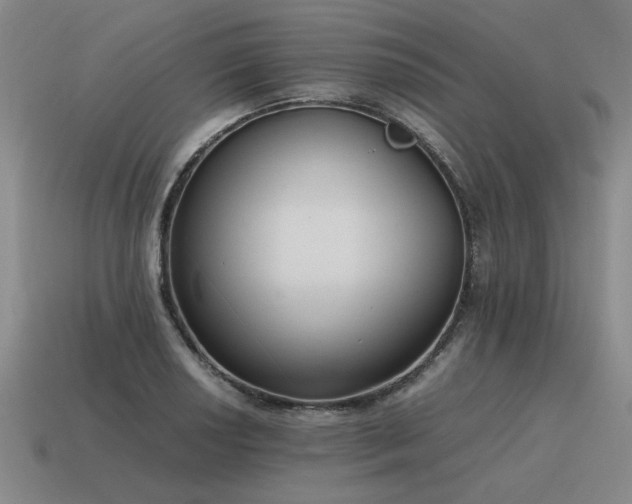 X0000115601034200911101401