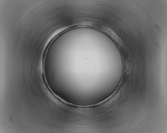 X0000115601036200911101401