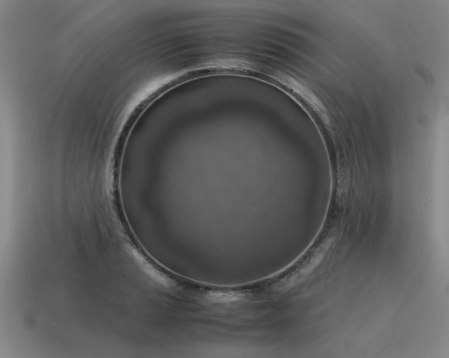 X0000115601037200911101401
