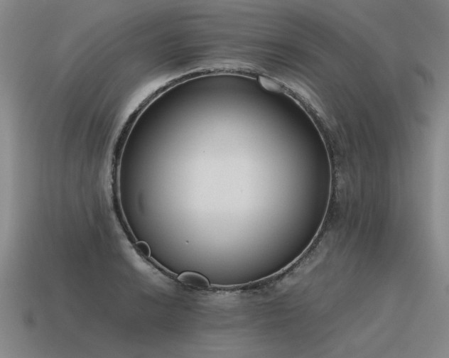X0000115601038200911101401