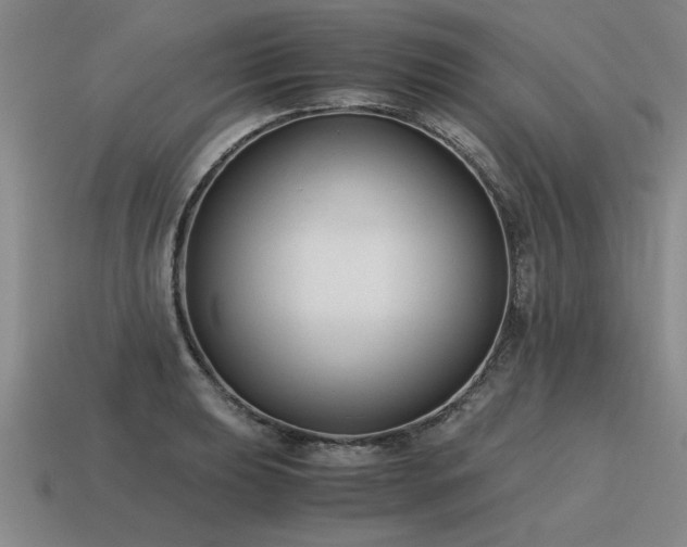 X0000115601039200911101401