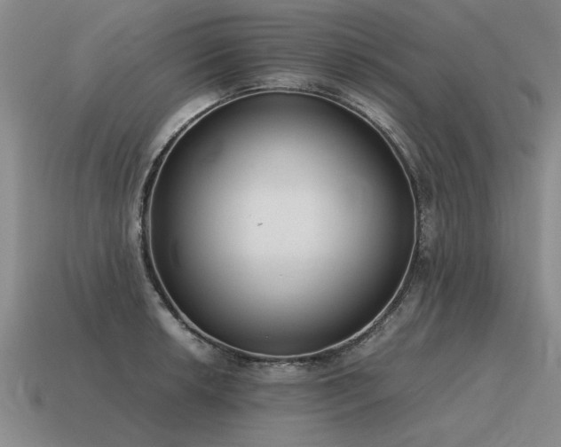 X0000115601042200911101401