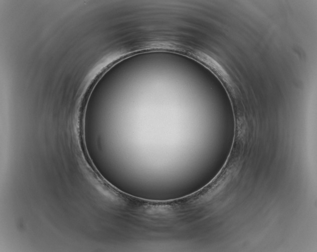 X0000115601043200911101401