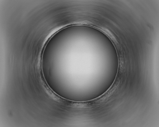 X0000115601044200911101401