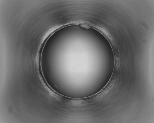 X0000115601046200911101401