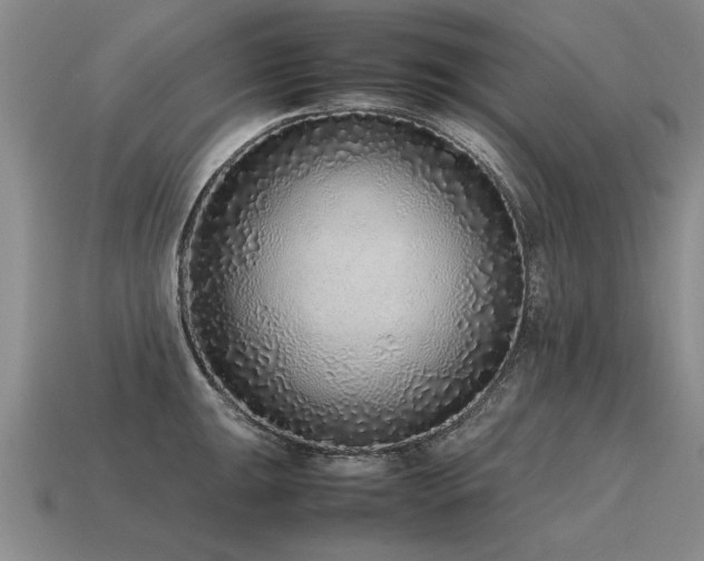 X0000115601047200911101401