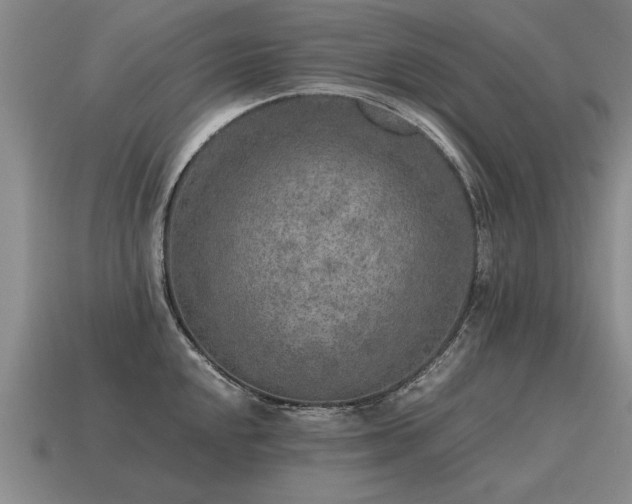X0000115601048200911101401