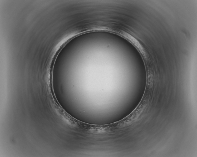 X0000115601051200911101401