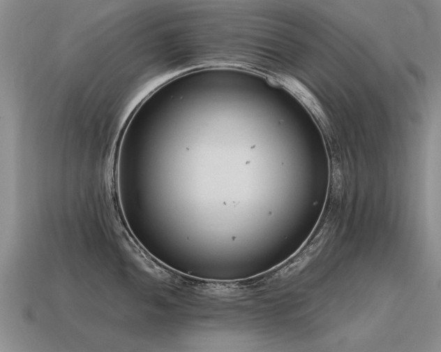 X0000115601052200911101401