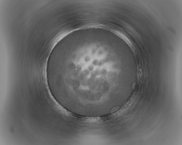 X0000115601055200911101402