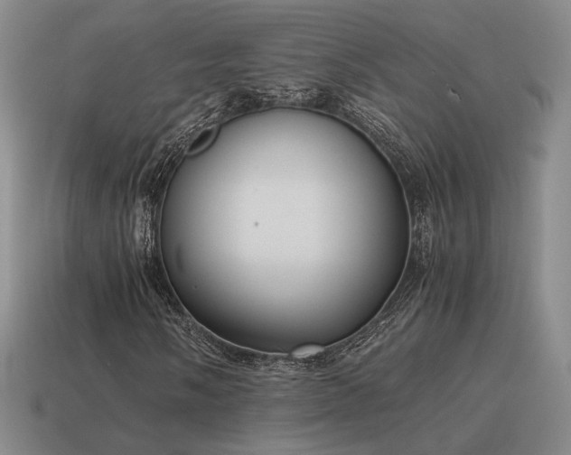 X0000115601058200911101401
