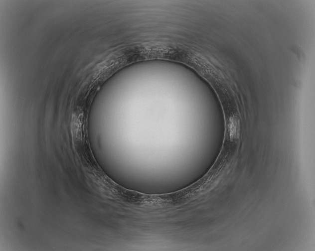 X0000115601059200911101401